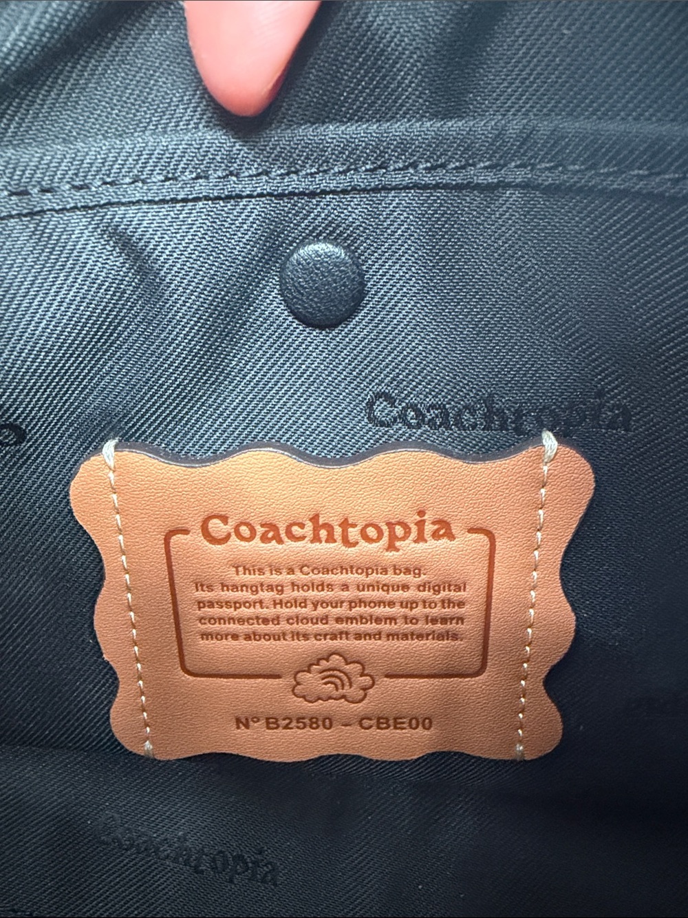 Coachtopia Alter/Ego Slouchy Shoulder Bag in Multi 2 A1 - Picture 6 of 8
